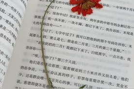 三本令人爱不释手的异能小说，超越极限，无尽可能！图片