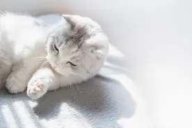 高中生赶快摘抄！100个超棒的名言金句，涵盖各类作文主题图片