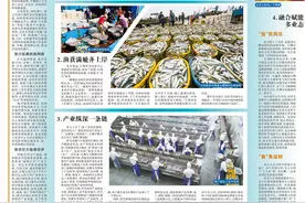 一条鱼如何开始它在石狮的惊喜历程？答案揭晓→图片