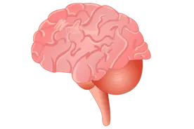 从确诊到去世仅一个月，运动员王一博因癌去世，5个症状要留意图片