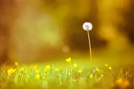 一个人是不是真有钱，一眼就能看出来，有三个细节难以掩饰图片