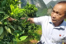 6人牺牲，7年时间，8公里路：“愚公”凿通“天路”之后图片