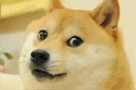 常用的“表情汪”原型去世了！全球知名、被十几亿人熟知，愿汪星球无病痛图片