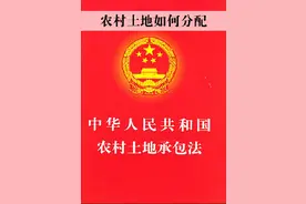 探讨：“2028”农村“土地分配”图片