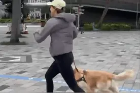 香港女星挺9个月孕肚跑步！肚大如箩牵爱犬飞驰，被批评不顾安危图片