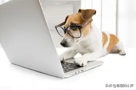 每日一笑话图片