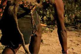 非洲打猎为生的原始部落，不种地不养牲畜，饿了就抓蝙蝠图片