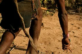 非洲打猎为生的原始部落，不种地不养牲畜，饿了就抓蝙蝠图片