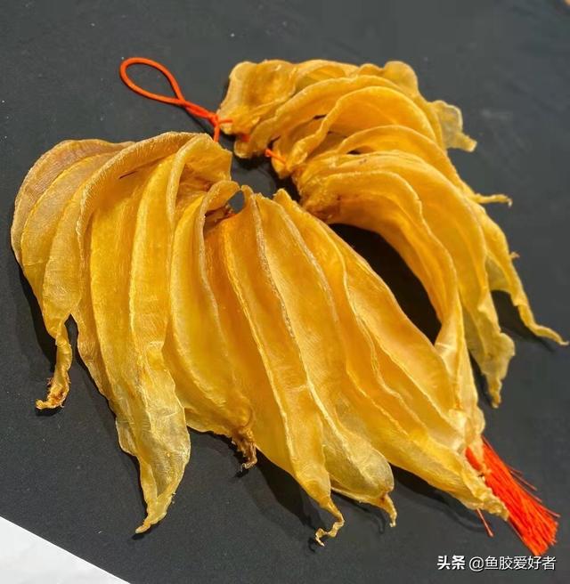 赤嘴鱼胶图片大全 2026年赤嘴鱼胶的功效与作用