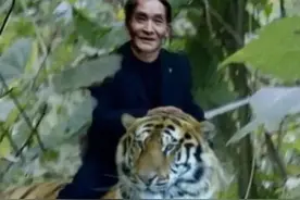 中国虎野外消失了吗？成语“正龙拍虎”就源于一次美丽的“邂逅”图片