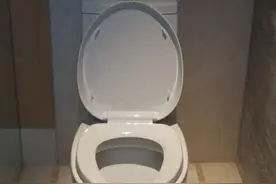 江苏女子上厕所，马桶里钻出一条正在吐信子的蛇：有 1 米多长，两指粗图片