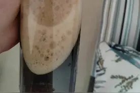 一天中减肥掉秤的最佳时间图片