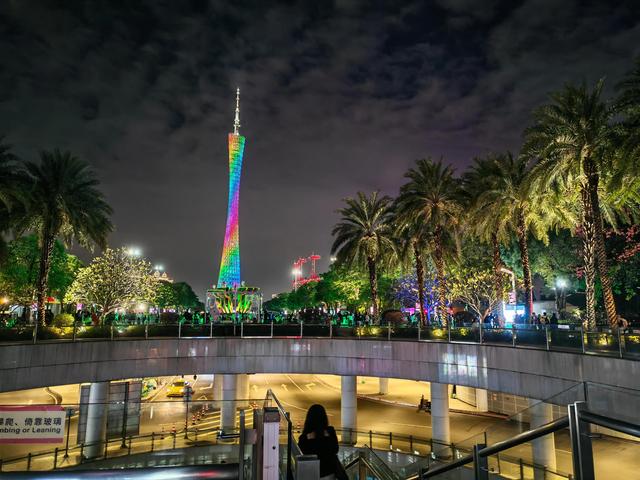 花城看花看灯饰