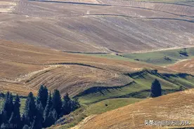 河南与陕西关系久远深有渊源，周人的祖先是河南人图片