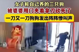 婆婆砍死3条狗后续：小姑子发声痛批嫂子，还原真相，果然有情况图片