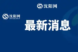 沈阳市商务局关于追加2025年沈阳市春季汽车消费补贴资金的公告图片