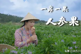 一席一果（十九）吃不到八戒同款，来试试石林“水炸弹”人参果图片