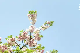 2022年，最好的生活状态图片