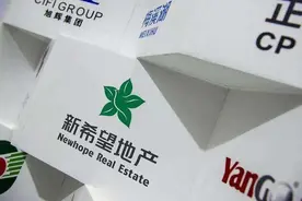 新希望地产副总裁樊俊宏曾从蓝光发展跳槽而来 业绩不错升职挺快图片