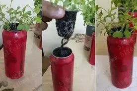 废旧易拉罐别扔掉，让它变废为宝，我们一起来看看吧图片