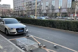 北京的鸽子都去哪了？图片