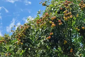 笑趴！中国各大高校“江湖绰号”盘点，太接地气了图片