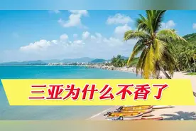 东北人纷纷逃离三亚，连本地人也开始走了？发生了什么变化？图片