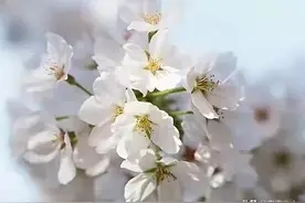 听说胎梦很准，你做的胎梦都应验了吗？图片