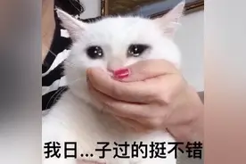 我日子过得挺不错表情包图片