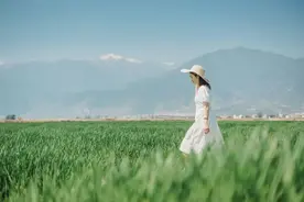 洱海怎么玩？最新攻略一篇告诉你！图片