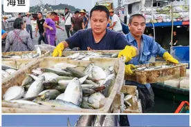 海边人这样吃鱼！多吃这12种“野生、廉价”的海鱼。附：家常做法图片