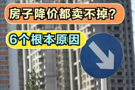 29城商品房成交面积腰斩！为何房子降价都卖不掉，有6个根本原因图片