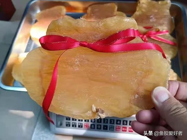 赤鱼胶是花胶中差的吗 赤鱼胶好吗