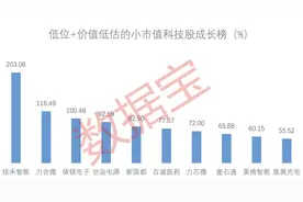 稀缺，低位+价值低估+高增长的小市值科技股，依顿电子分红比例高居第一图片