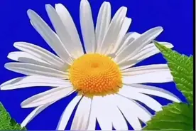 某人，我好想、好想你图片