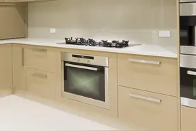 我花了上万块买了台油烟机，设计师看到直摇头，油烟机千万别买贵图片