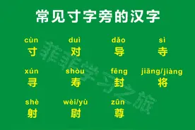 一年级偏旁部首寸字旁，一年级寸字旁的汉字，寸字旁考试知识点图片