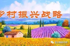 肖志夫：乡村要振兴，首先要解决“吃饭财政”问题图片