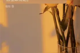 疫情最新消息汇总！菏泽城区多所学校发布新生入学通知！图片