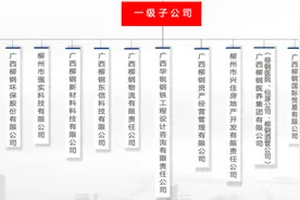柳钢集团巨亏65亿！董事长、总经理、董秘同日辞职图片