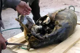 “让人窒息”的腌海雀：臭到令人呕吐，为何被当地人奉为美食？图片