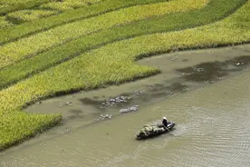 1944-1945年越南史无前例的大饥荒图片