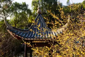 【文旅推荐】快上车，跟着699路公交游湾里！图片