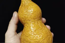 美葫赏析～本长鸡心抽不裂图片