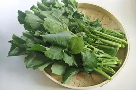 我三姨74岁了还在赚钱养家图片