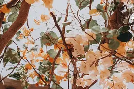 人和人深交：始于好感，敬于才华，合于三观，忠于人品，久在舒服图片