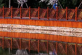 今日，青岛两处公园正式开放！图片