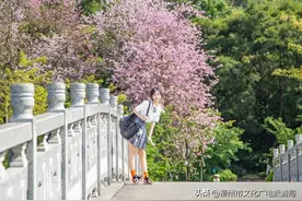 多图！必藏！柳州9大综合性最强赏花地！速GET！图片