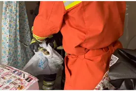 五爪金龙！我国极其罕见的大蜥蜴现身民宅，为啥说这并不是好事？图片