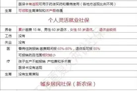 社保分类和缴纳方式图片